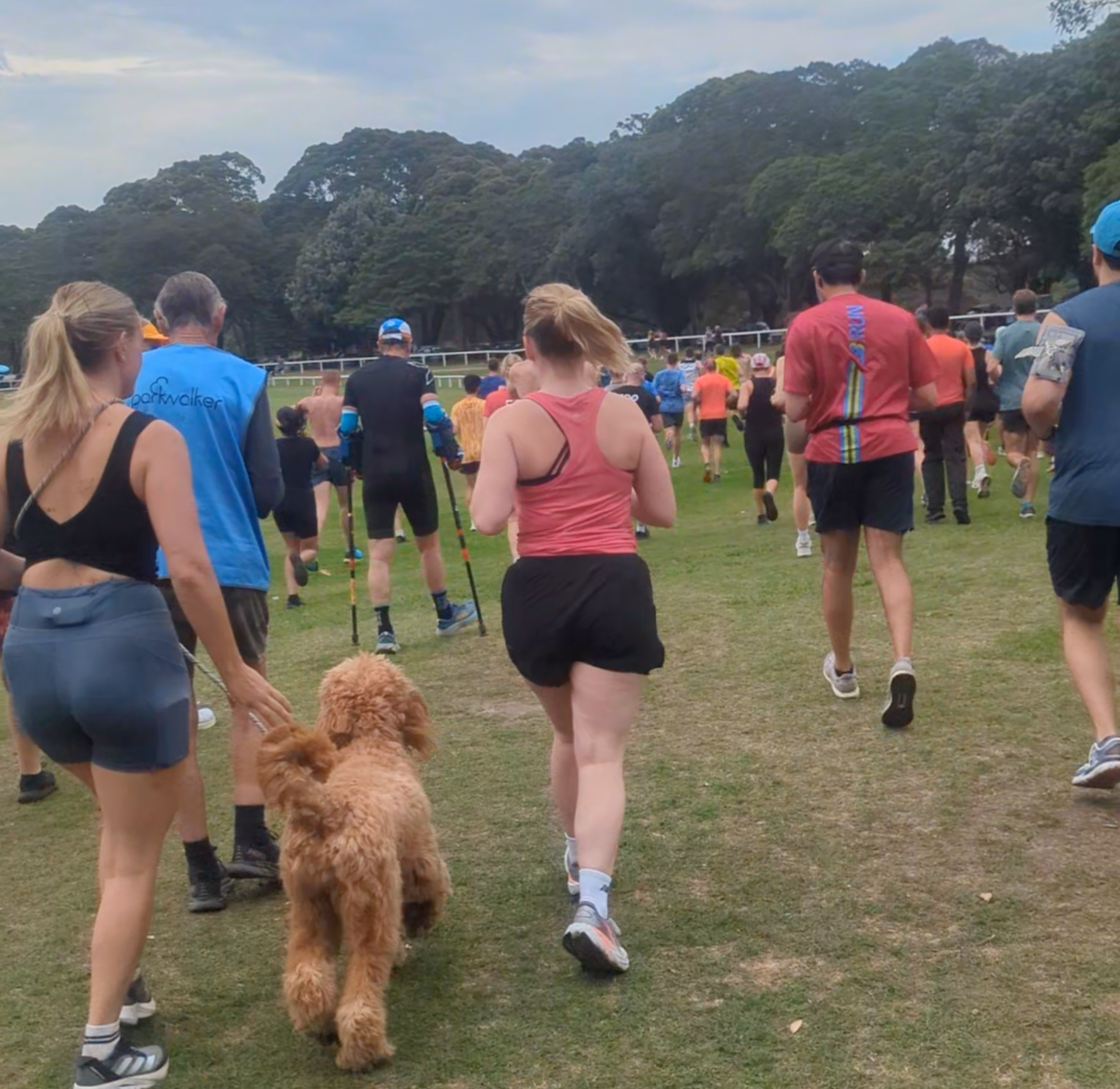 Parkrun Volunteering